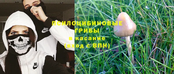 круглые Абаза