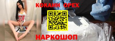 стаф Новодвинск