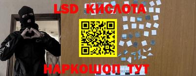 стаф Новодвинск