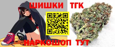 стаф Новодвинск