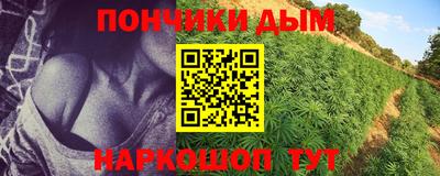 стаф Новодвинск