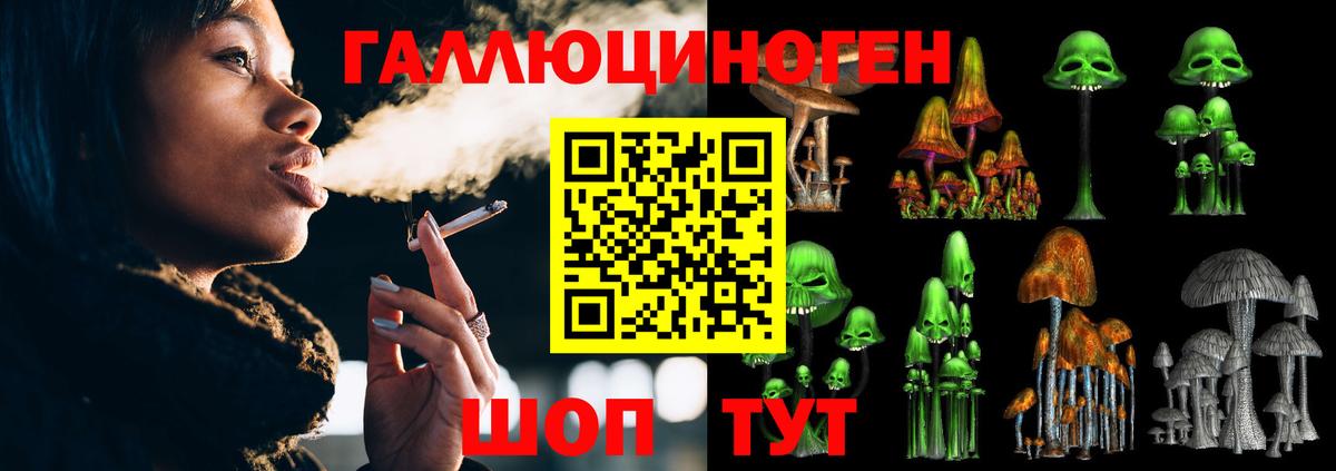 Псилоцибиновые грибы Psilocybine cubensis  Вход с VPN  Тихорецк  Псилоцибиновые грибы ЛСД 